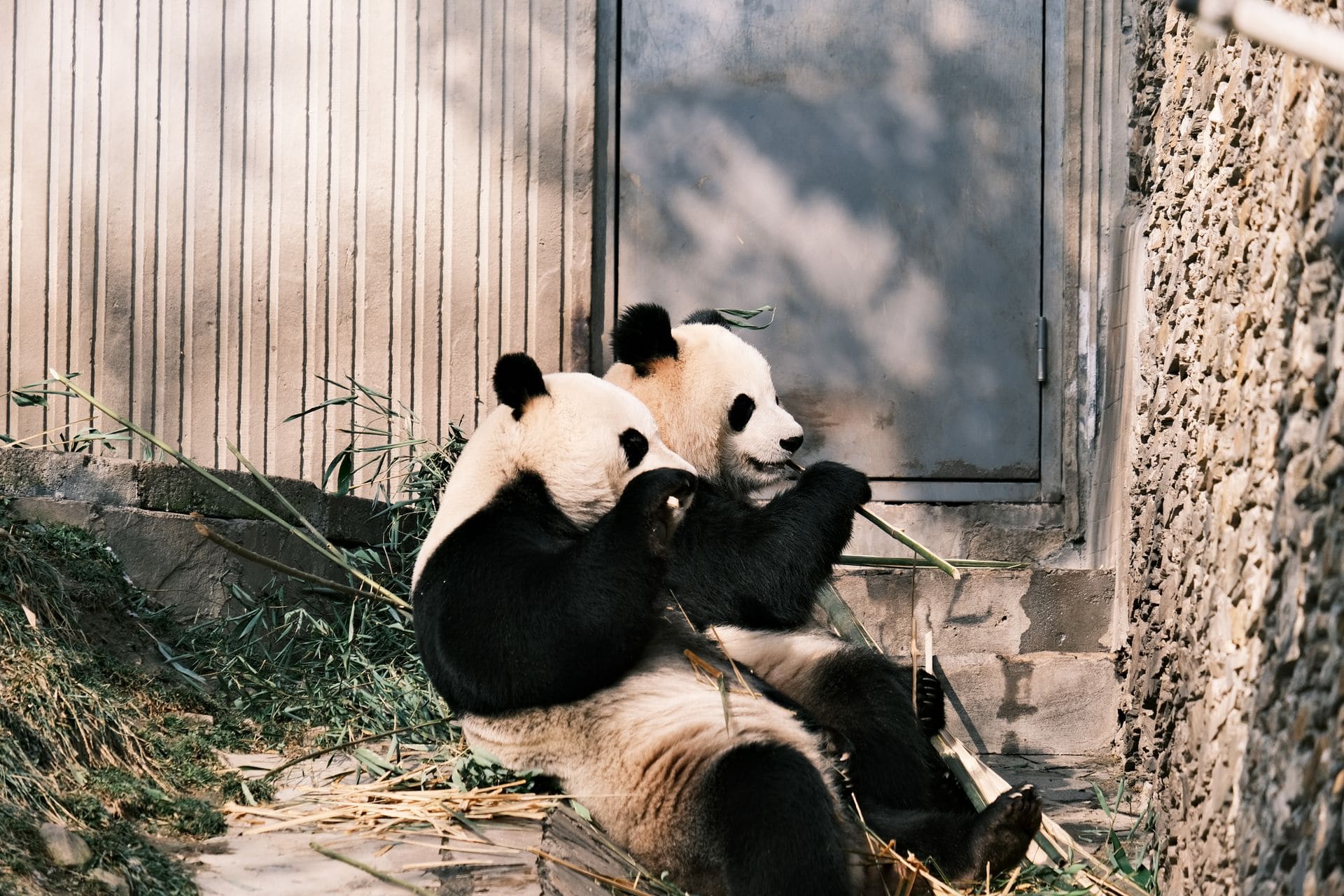 Chengdu