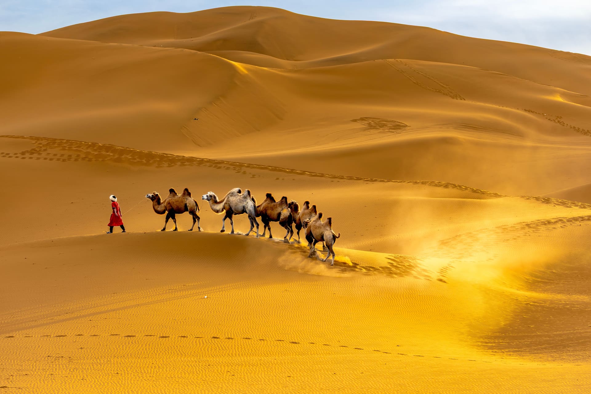 Silk Road Oasis