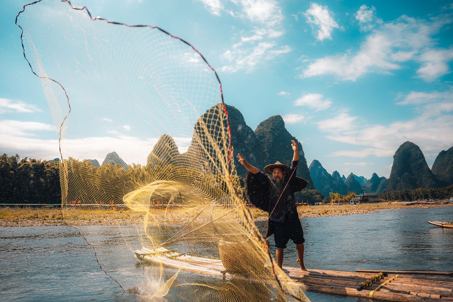 Cormorant Fishing