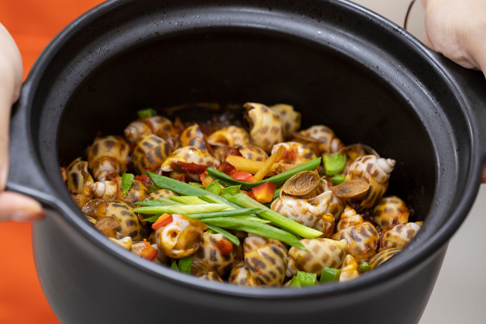 Stuffed Li River Snails