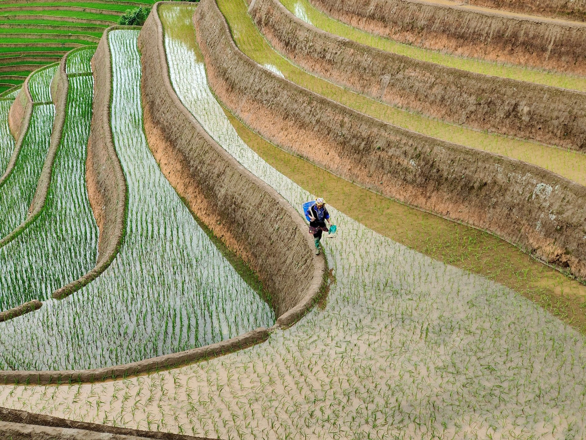 Farmers working in Guilin rice terraces